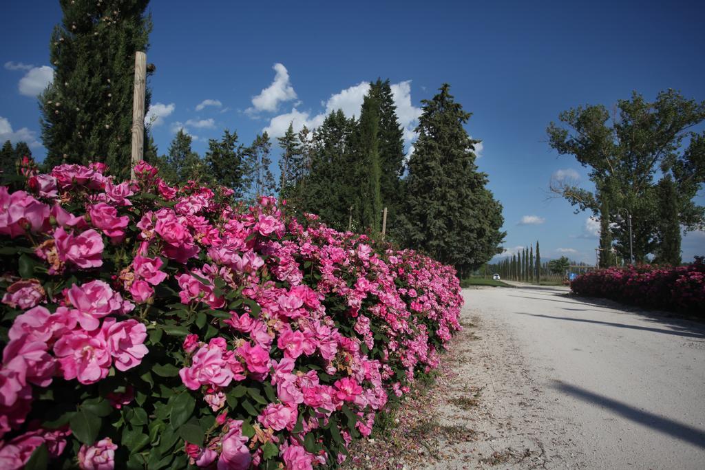 Resort E Spa San Crispino Assisi Exteriör bild